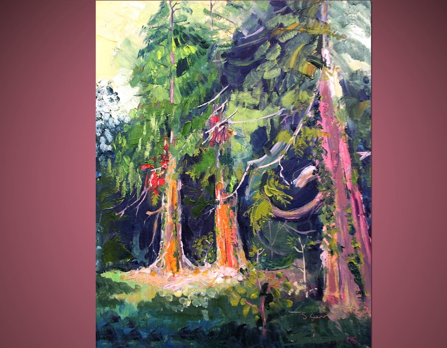 ORIGINAL - SANDANCER FIR TREES 2009