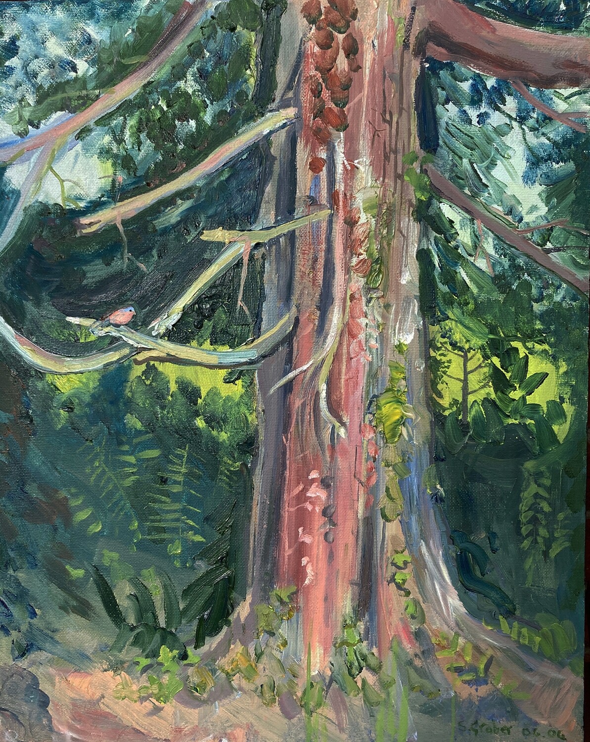 PRINT- SANDANCER FIR with CHAFFINCH