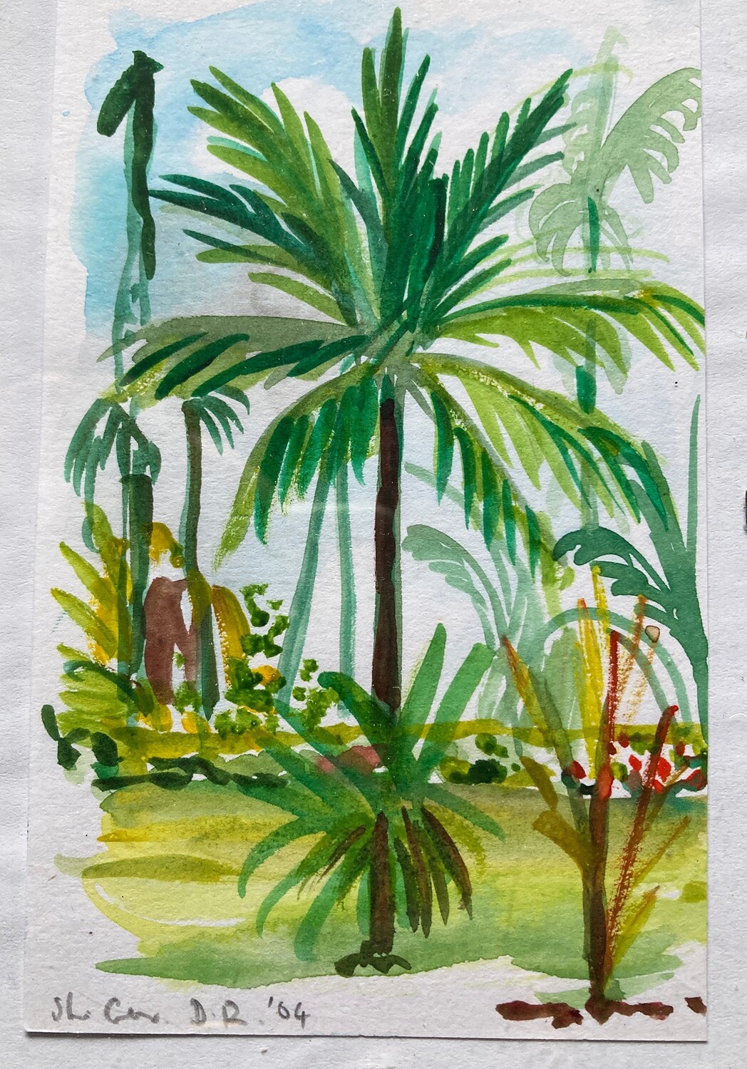 PRINT--DOMINCAN REPUBLIC _ PALM TREES 1
