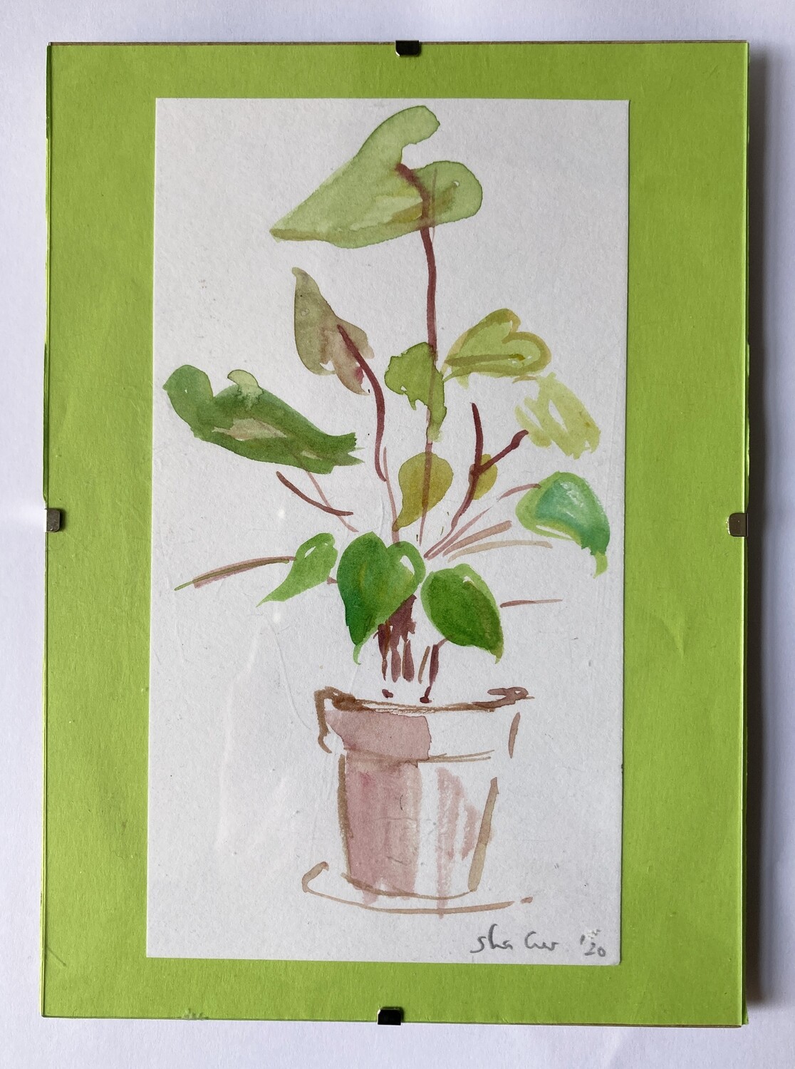 A4 FRAMED PRINT-- POT PLANT &#39;20