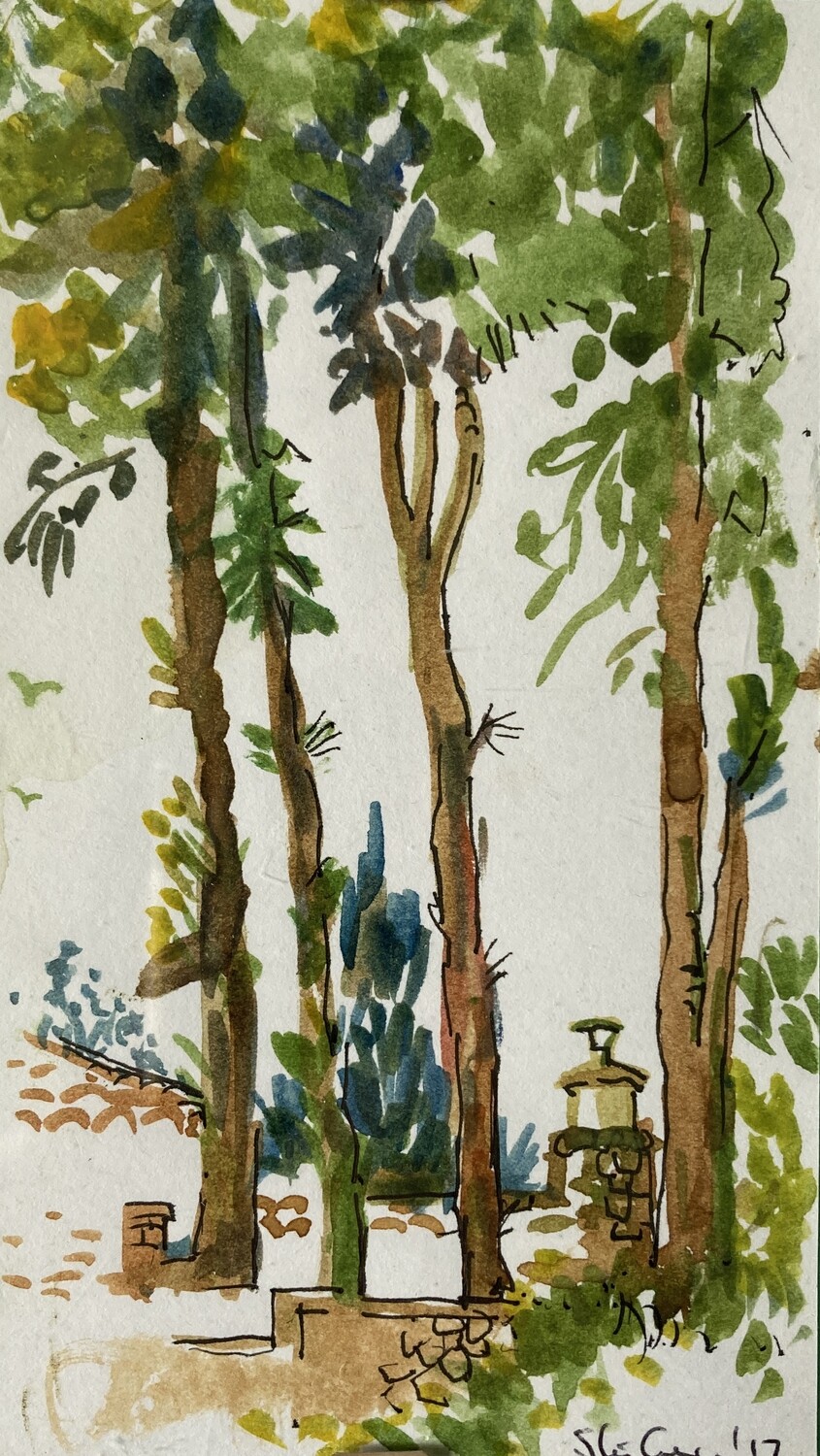 ORIGINAL-SPAIN LA CARIHUELA  PARK WITH TREES