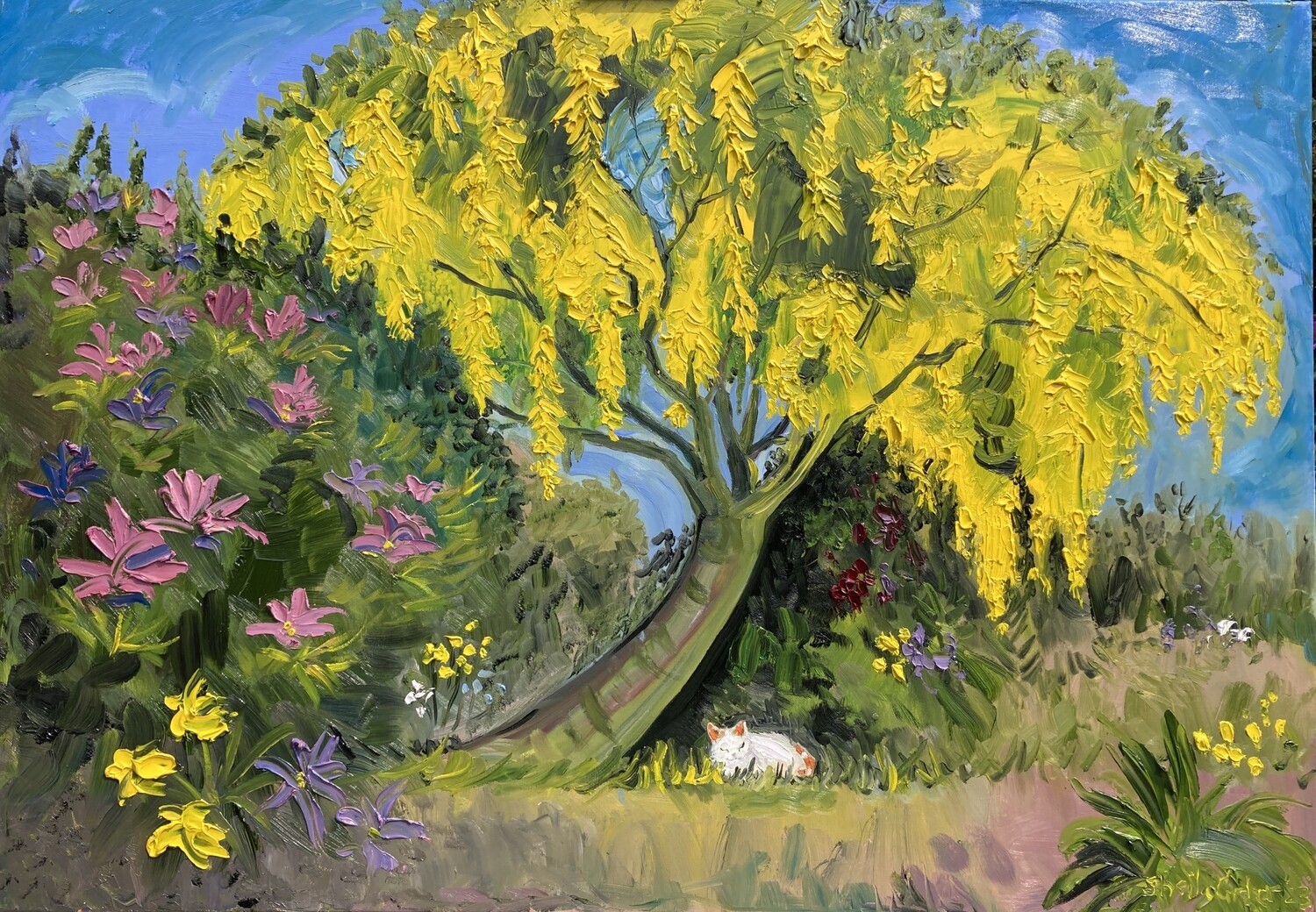 PRINT- LABURNUM AND CAT May&#39;23