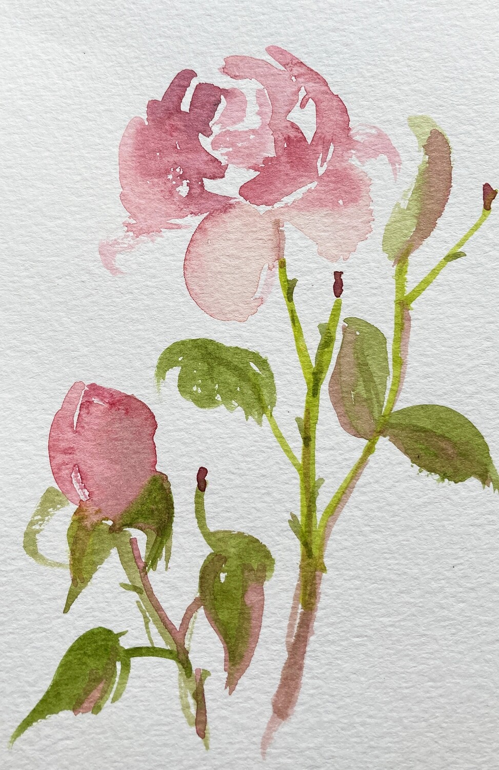 PRINT-- LAST ROSE OF SUMMER