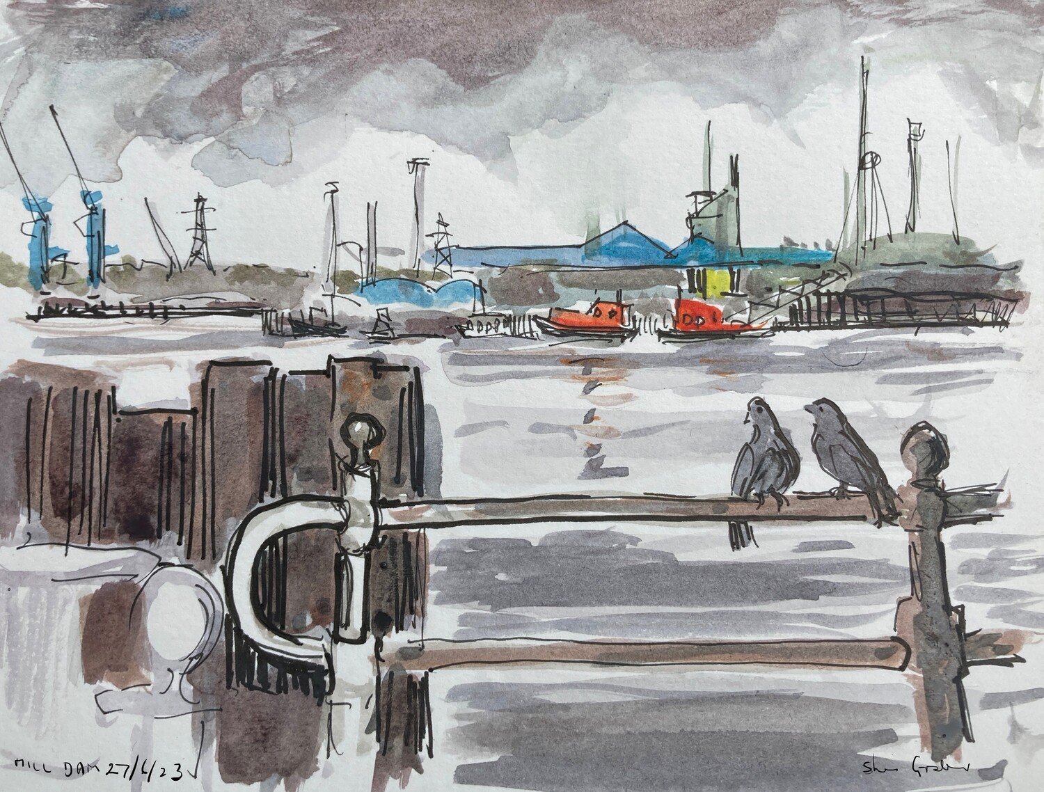 PRINT- - MILL DAM PIGEONS RETURN- 27/6/23