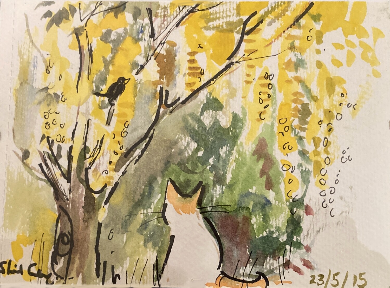 PRINT-- TIP,LABURNUM &amp; BLACKBIRD