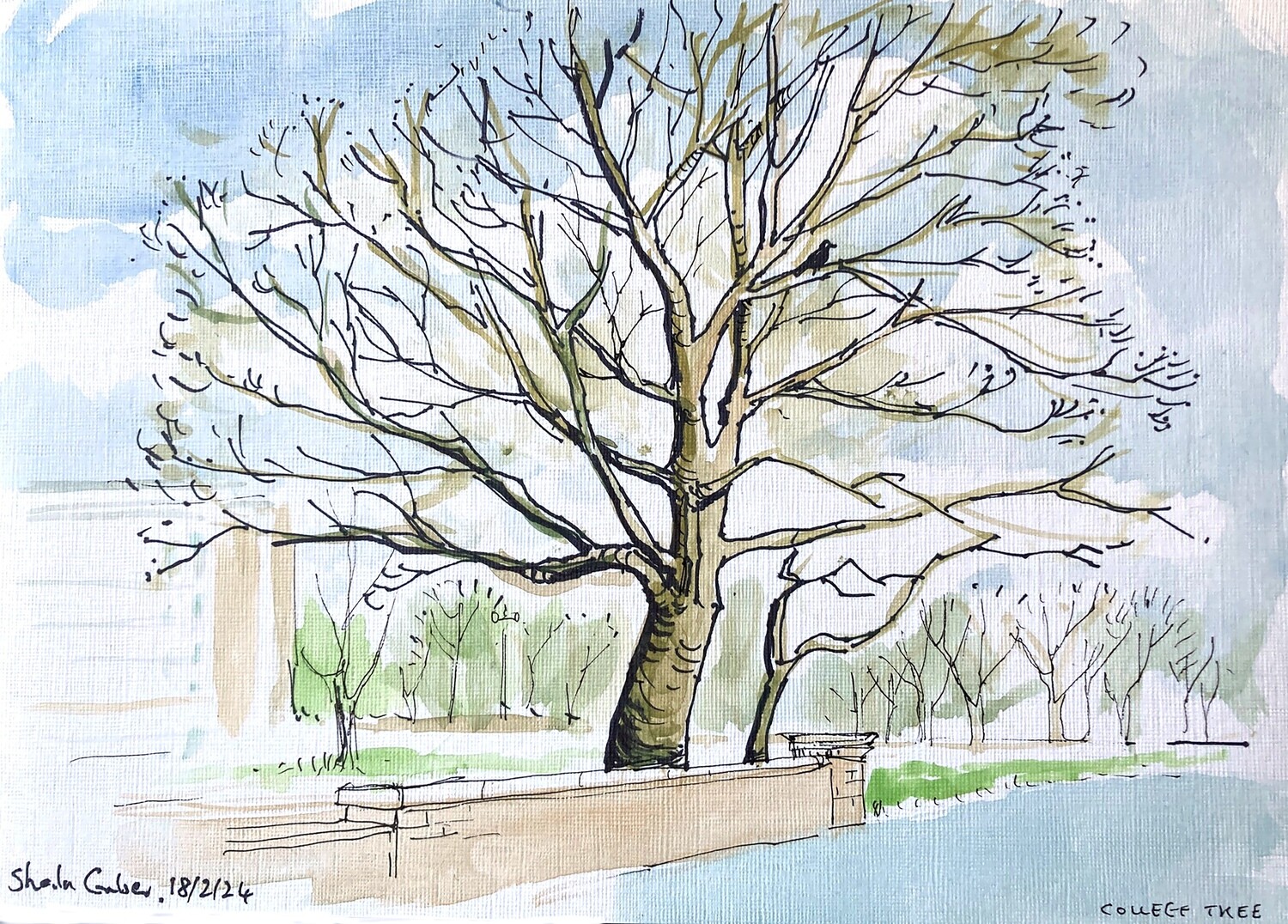 PRINT -COLLEGE TREE 18/2/24