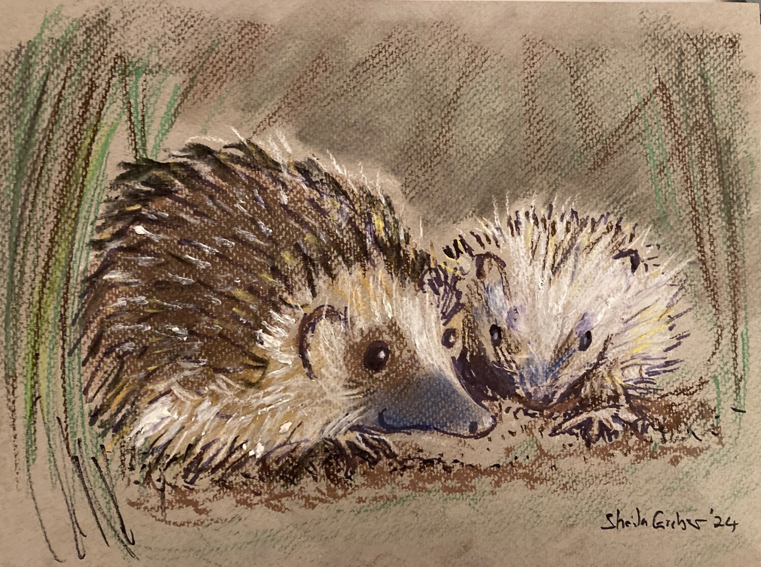 PRINT- of  PASTEL &quot;HEDGEHOG &amp; HOGLET 25/2/24&quot;