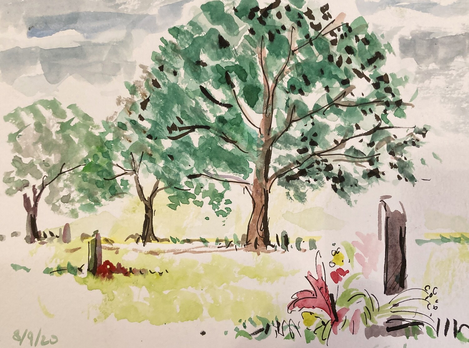 PRINT - HARTON Trees watercolour 20