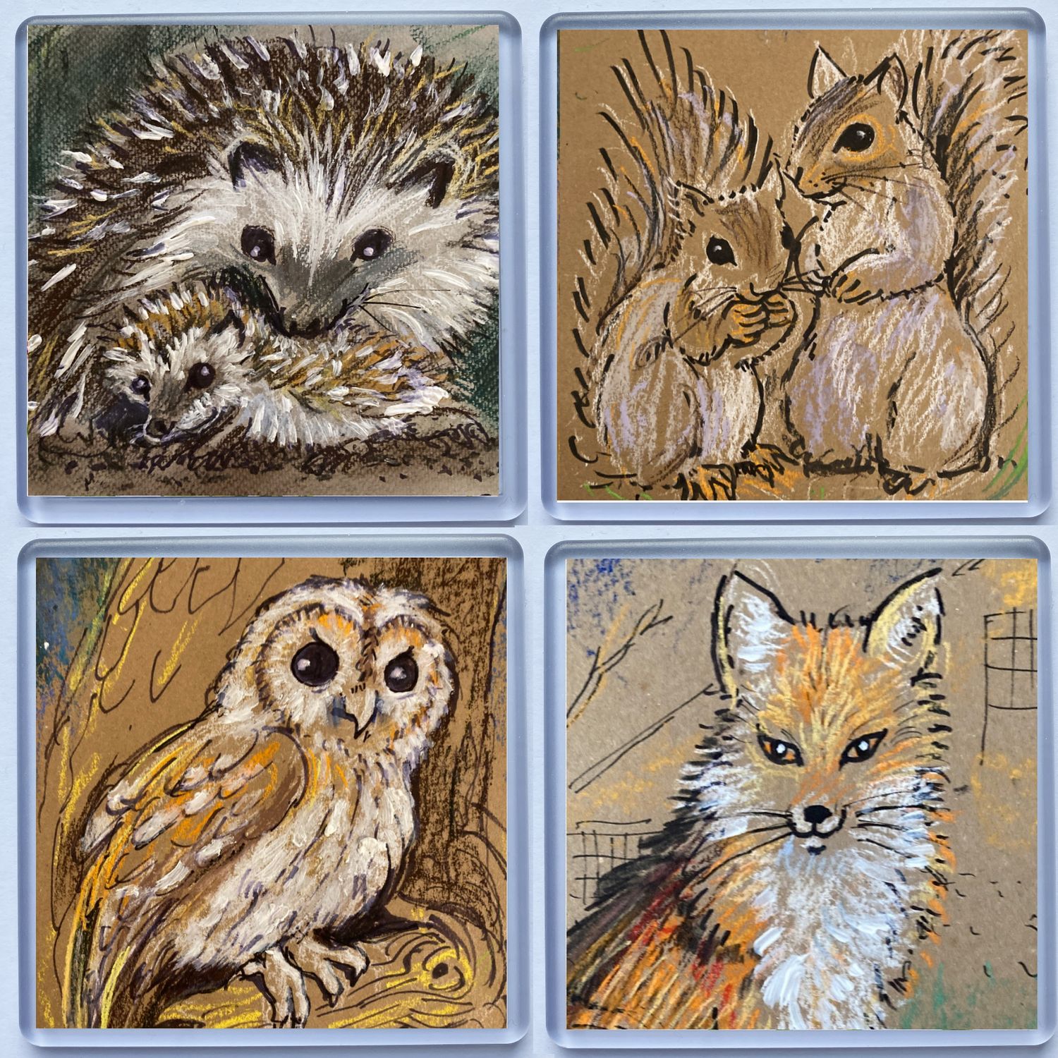 COASTERS-WILD &amp; FREE set of 4
