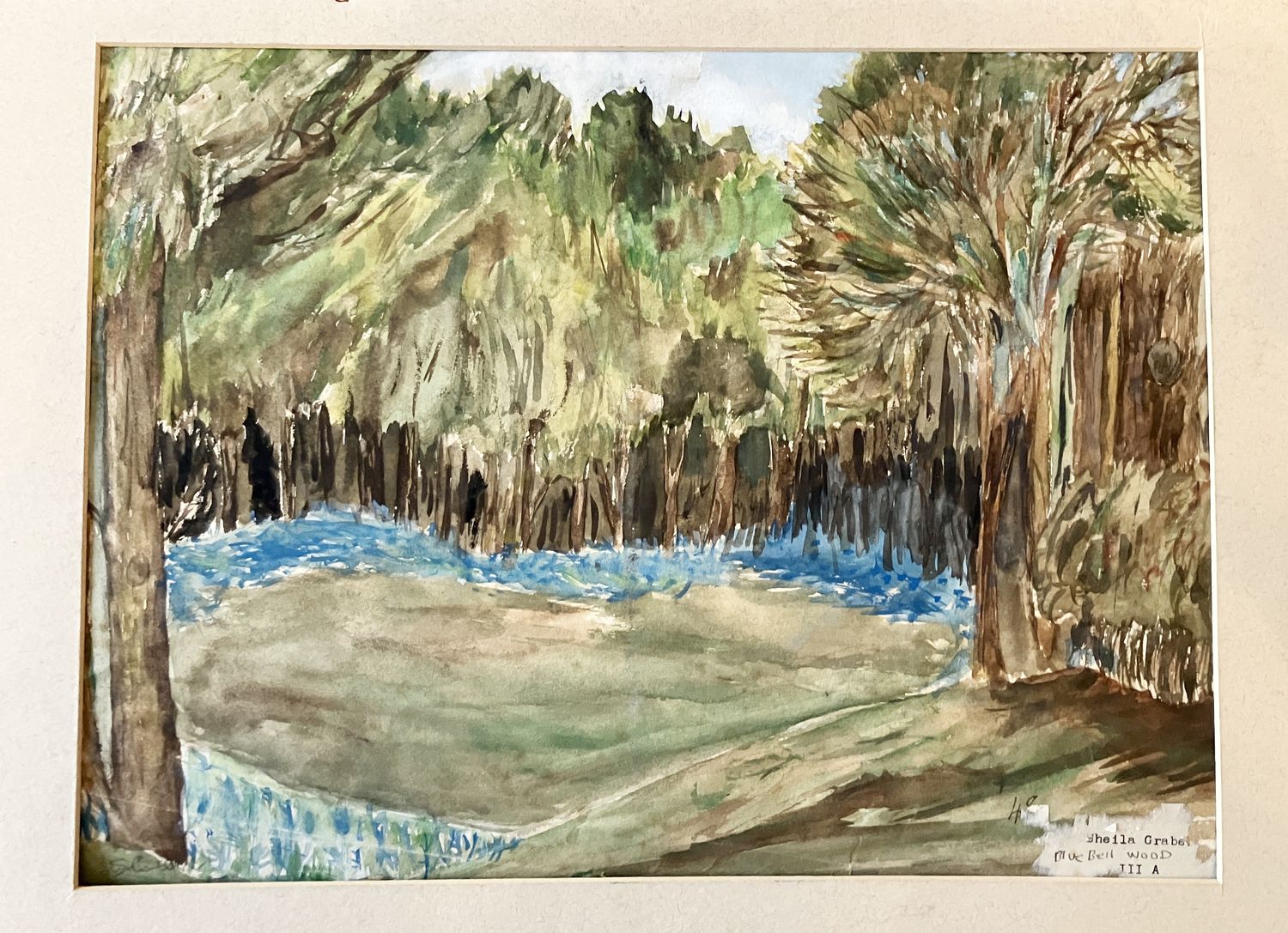 ORIGINAL -BLUEBELL WOOD 1951