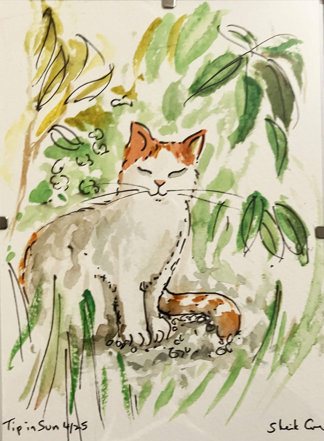 ORIGINAL A5 framed - Tip in the Sun