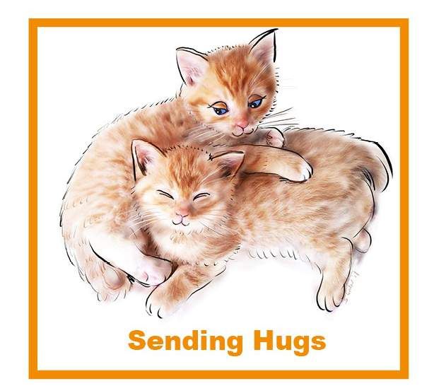 Pack of 3 Notelets - Sending Hugs