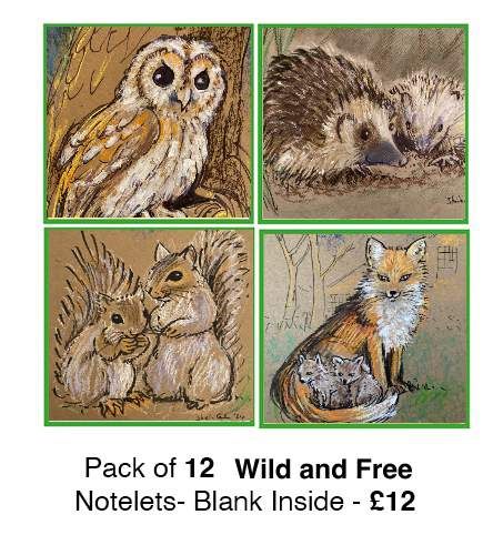 Pack of 12 Notelets - Wild and Free