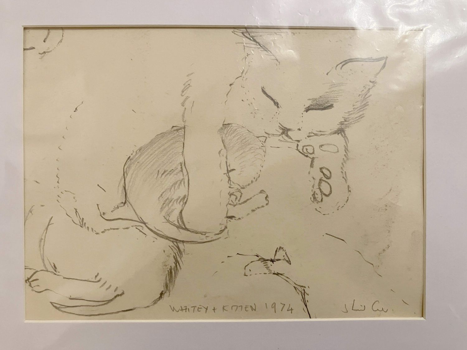 ORIGINAL - DRAWINGS  Whitey &amp; kittens 1974