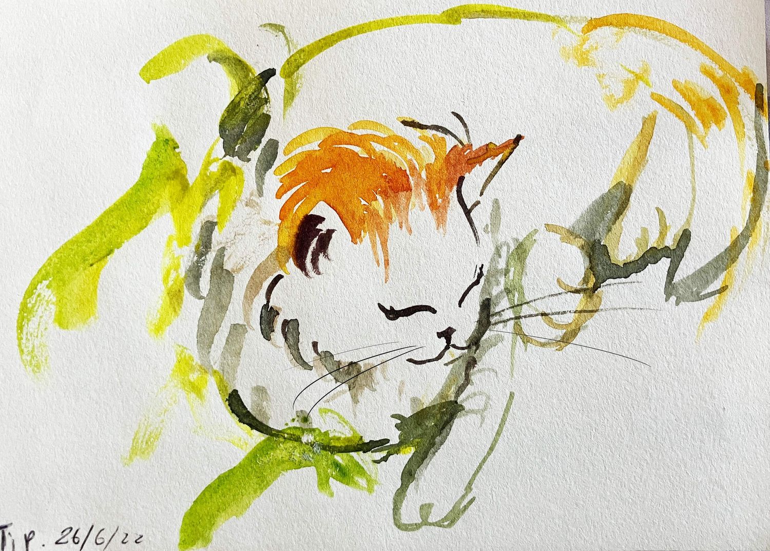 ORIGINAL - TIP in Garden June&#39;23