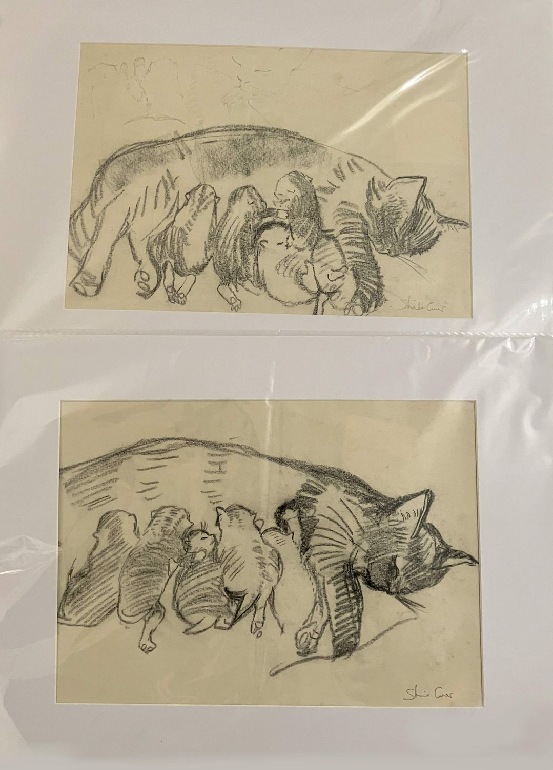 ORIGINAL - DRAWINGS of Tarzan &amp; kittens