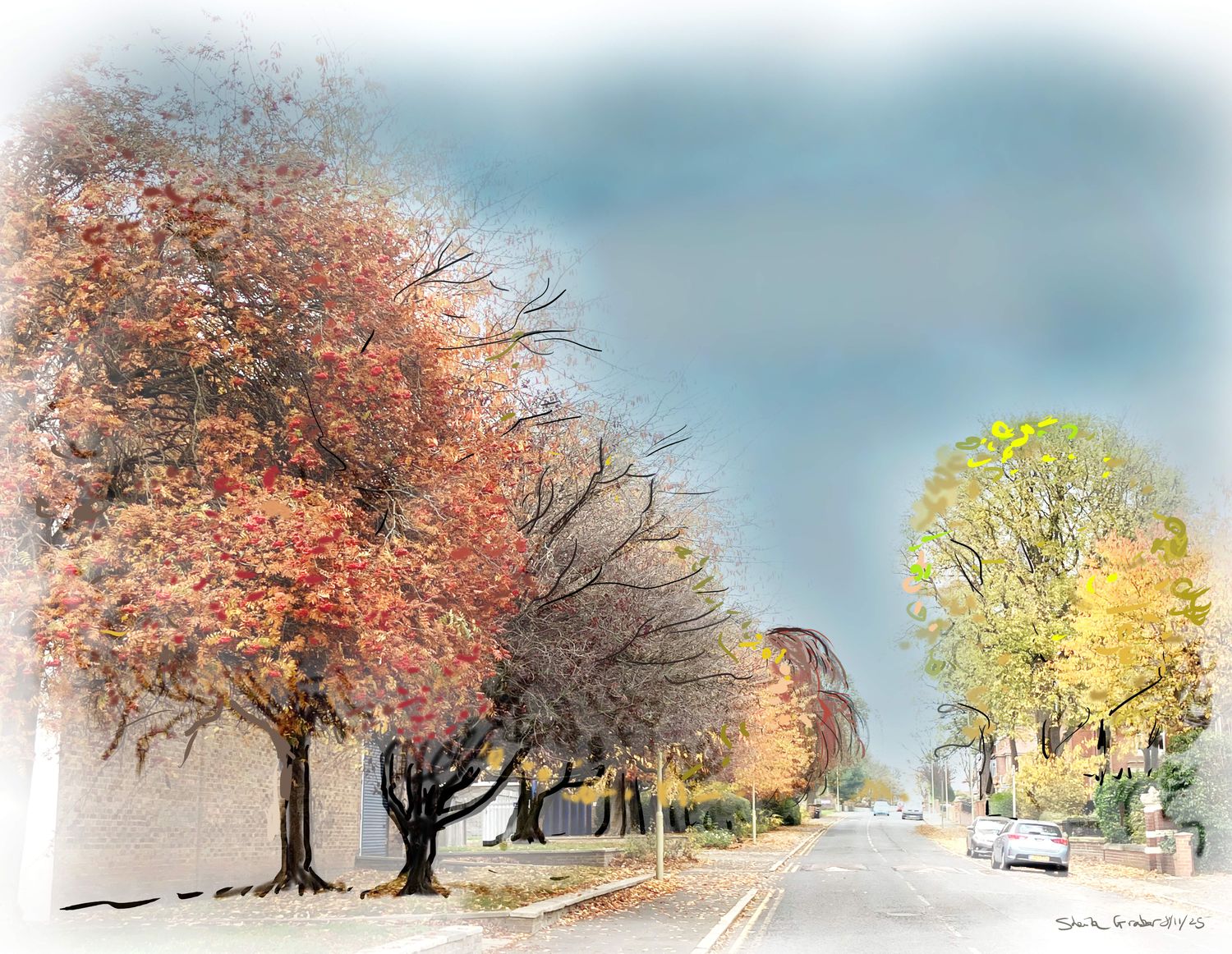 PRINT-Grosvenor Rd with William Willow  8/11/25