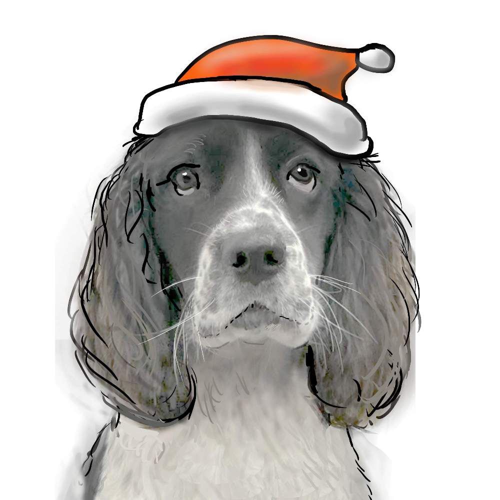 Pack of 12 Notelets - Featuring YOUR PET PAWTRAIT