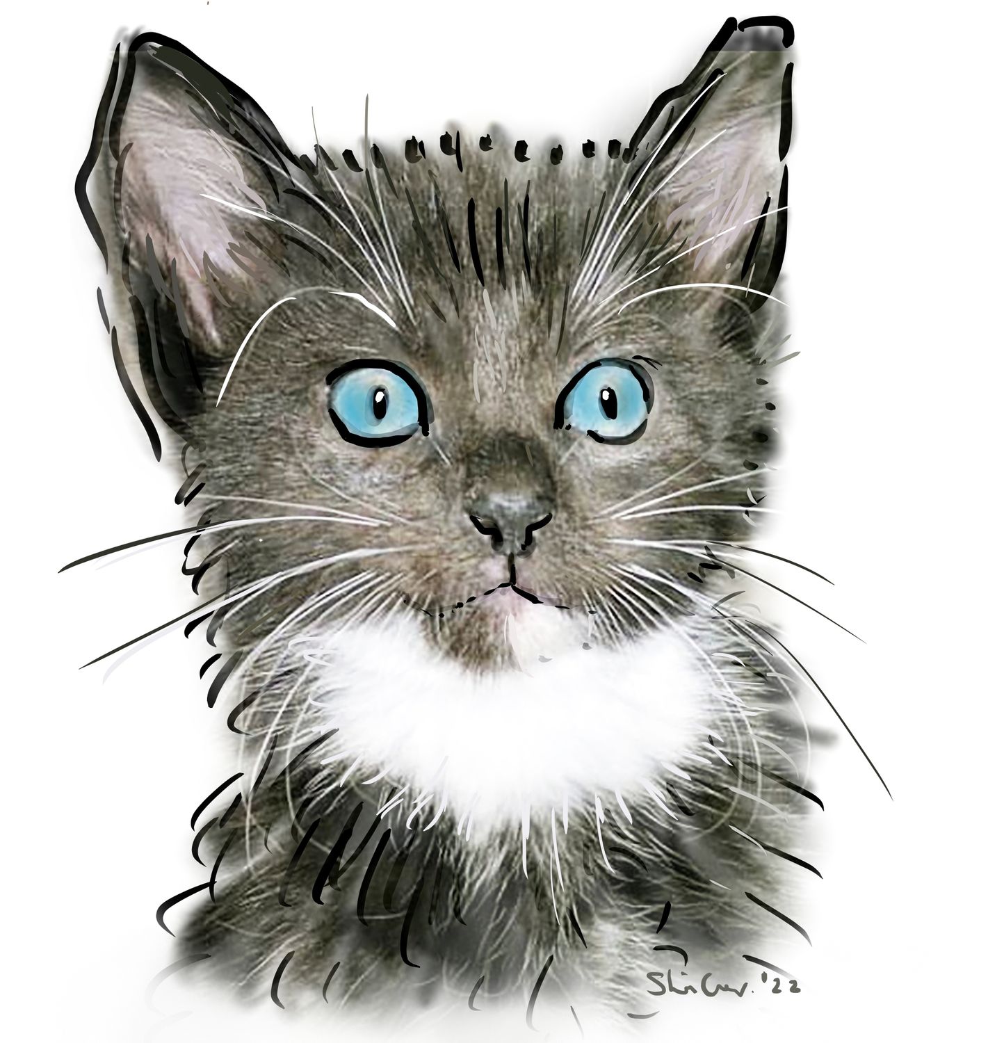 Willows Cat Adoption Centre Donation