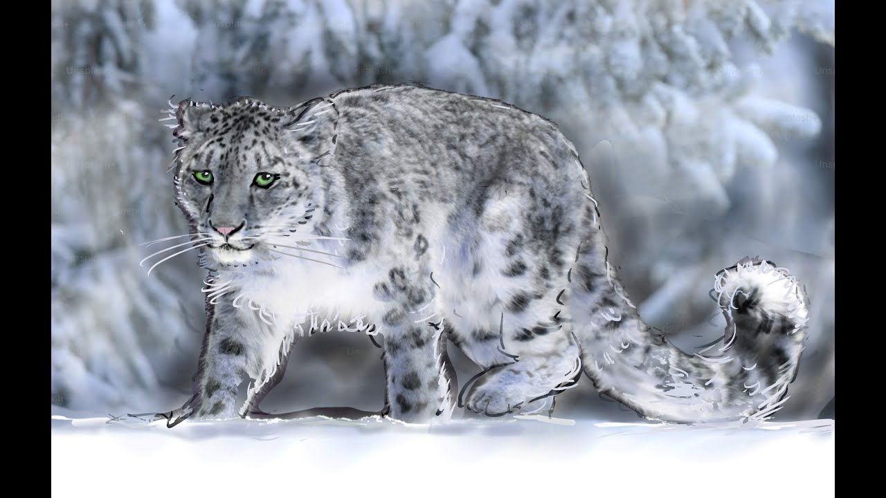 SNOW LEOPARD