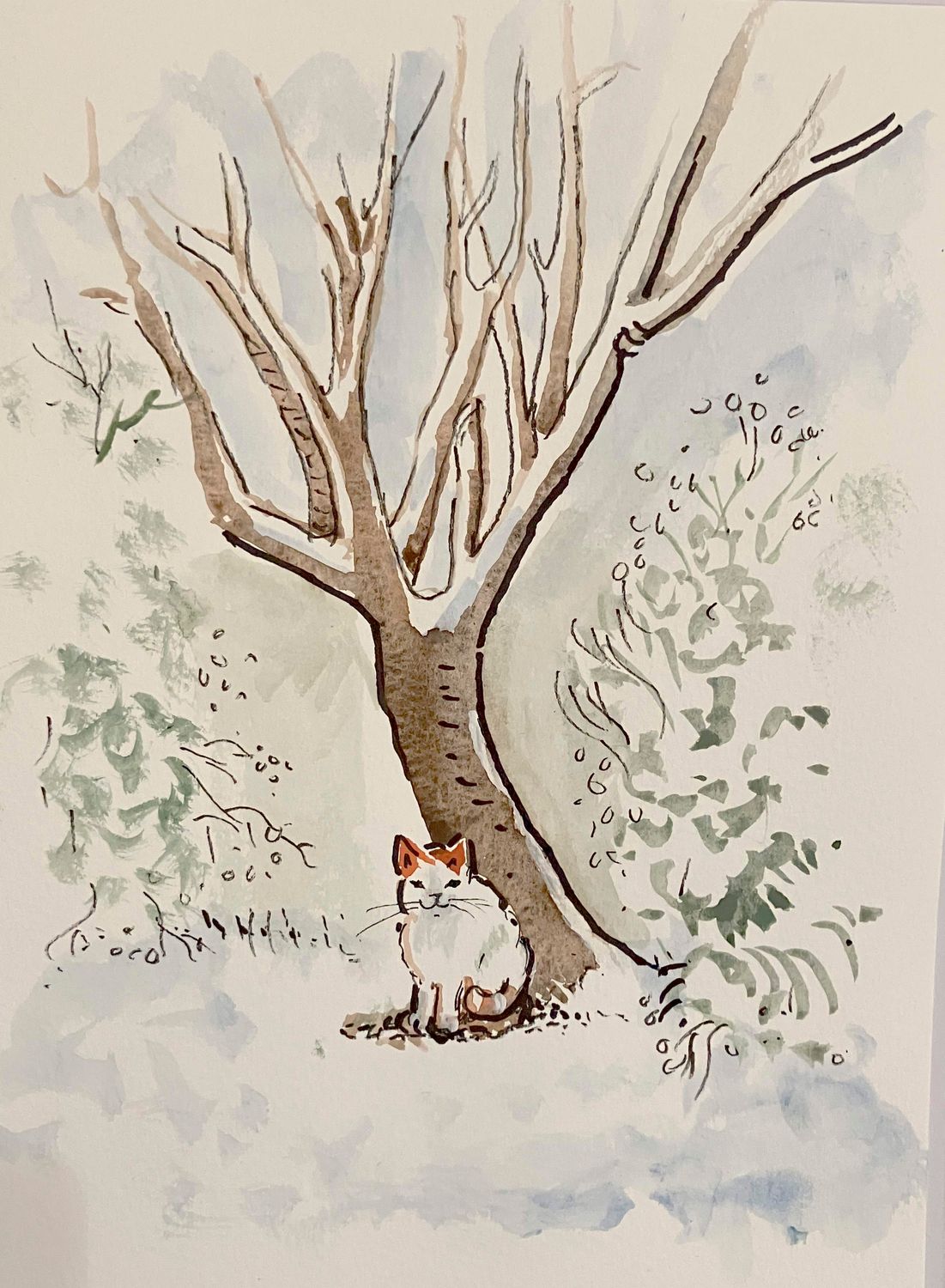 PRINT--  LABURNUM and SNOW CAT