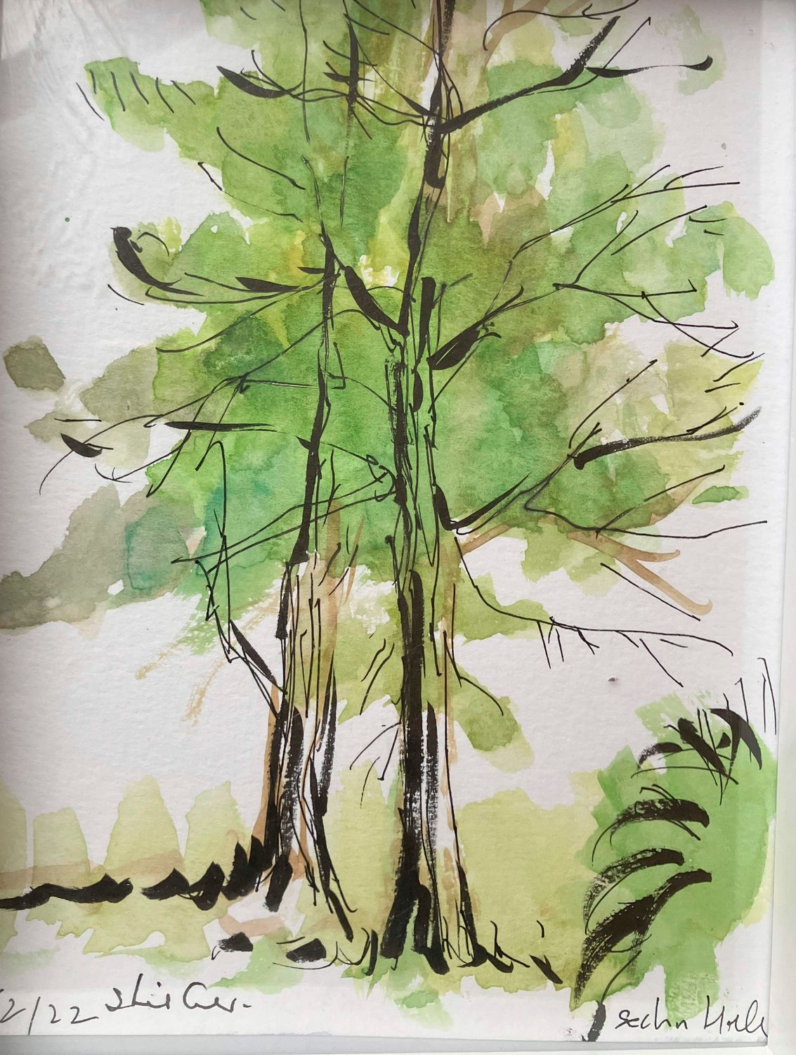 ORIGINAL- Seaham Hall Trees 2022