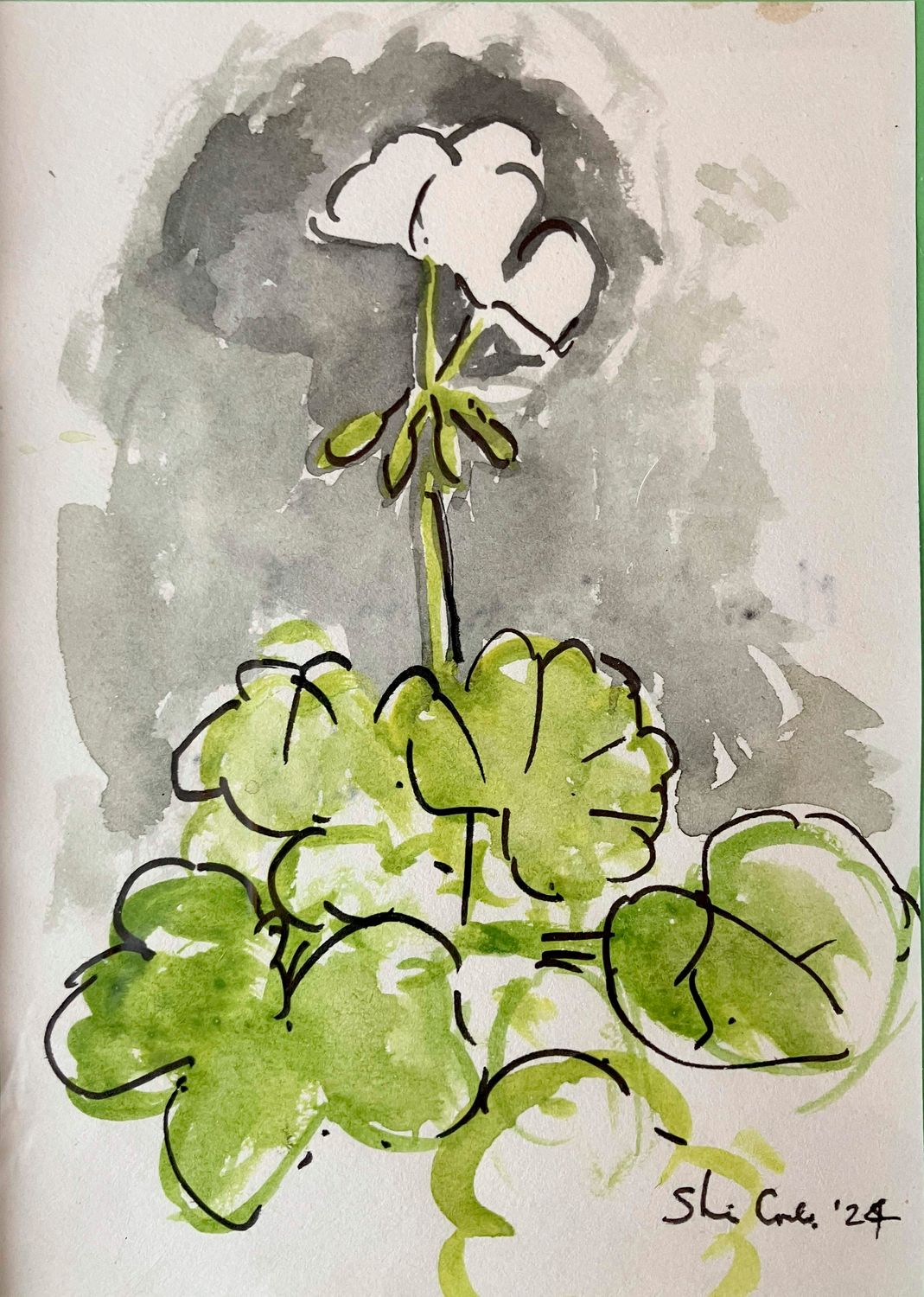 ORIGINAL - A5 Mam's Geranium 2022