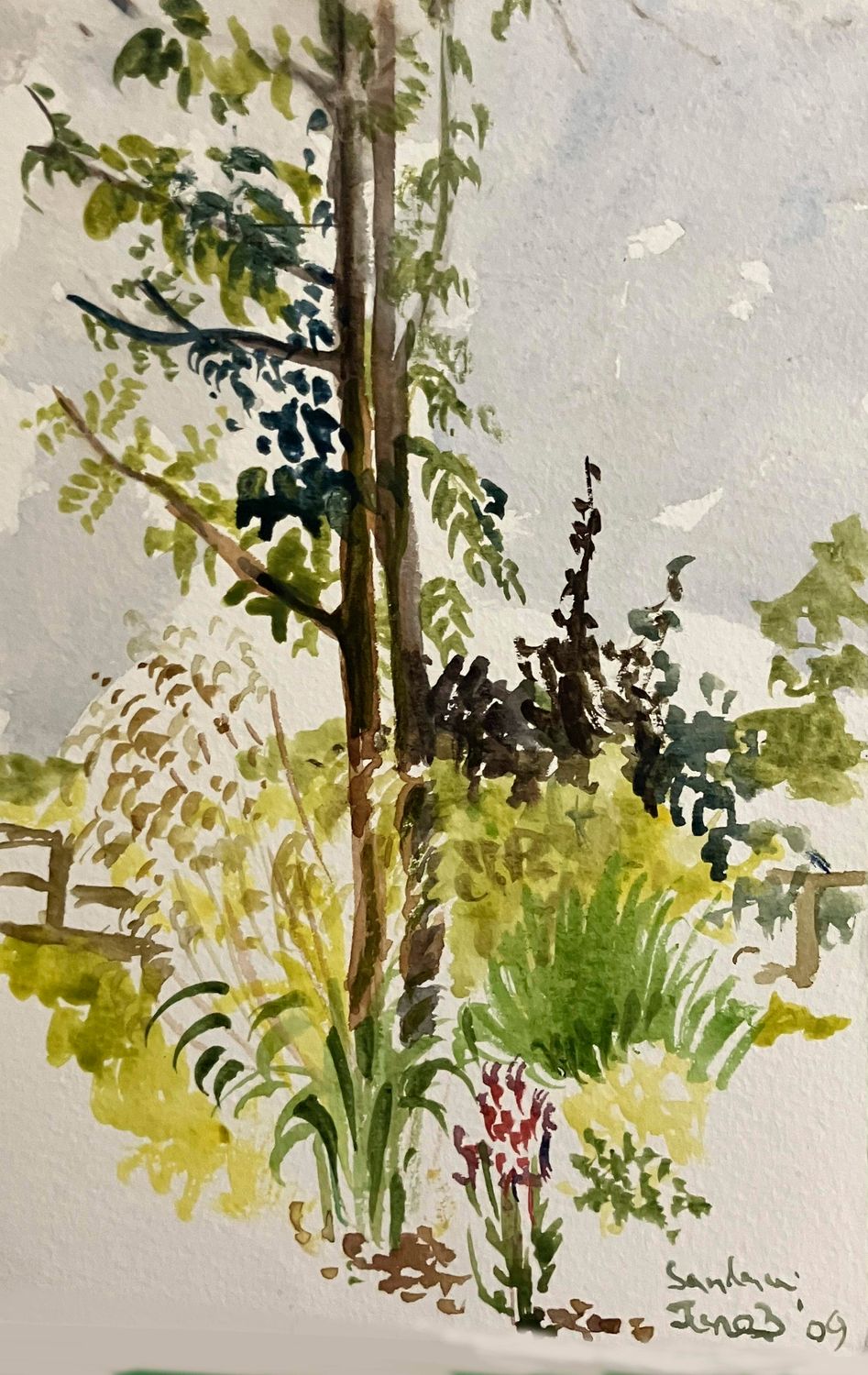 ORIGINAL - SANDANCER TREES 2009