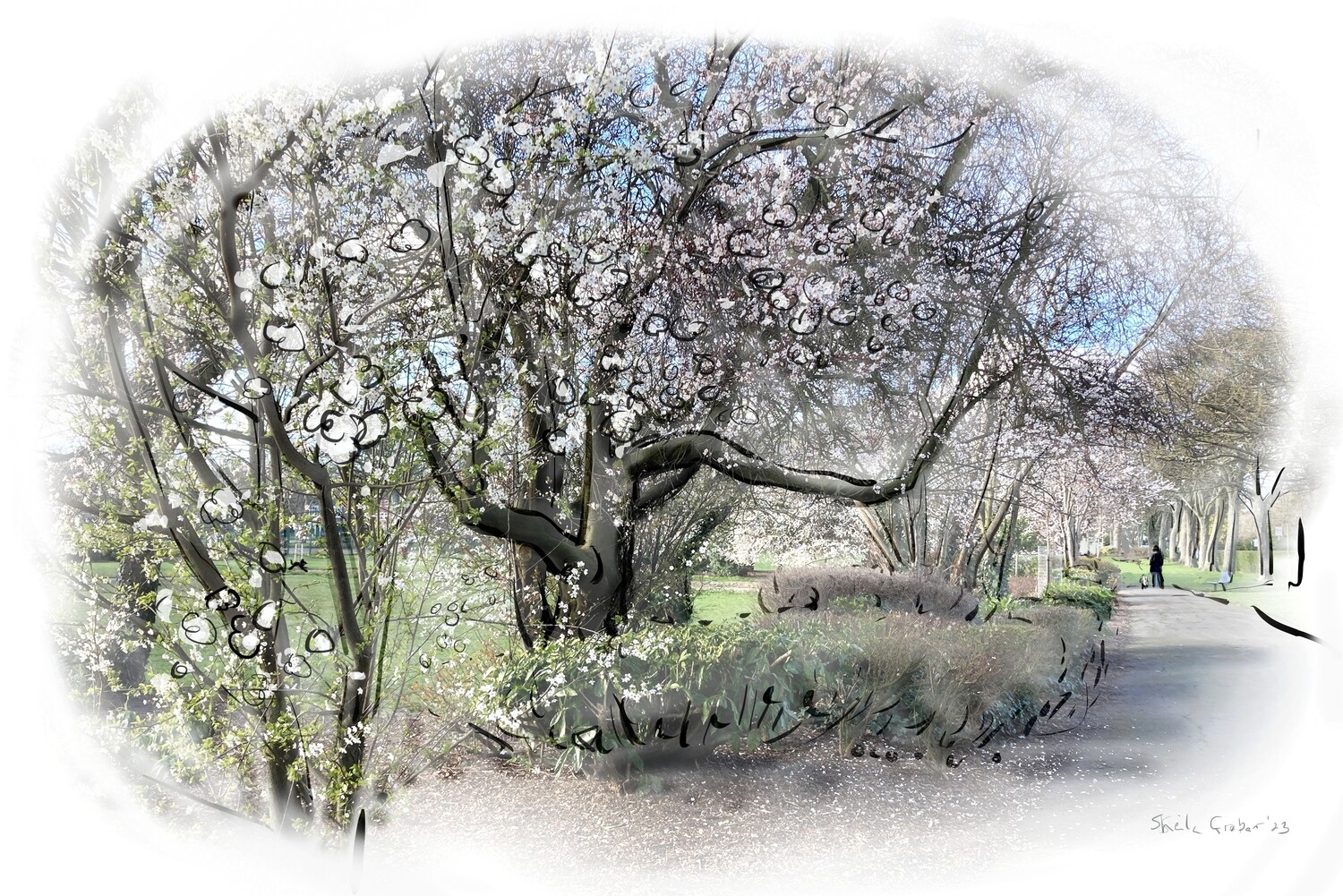 PRINT-Readhead Park with Spring Blossom '23