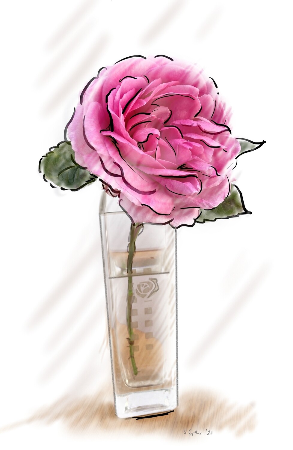 PRINT- - MACINTOSH ROSE
