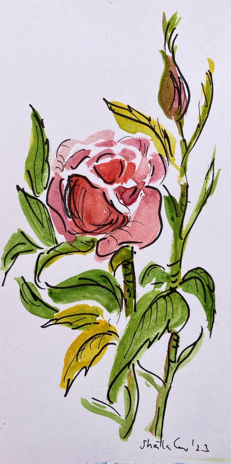PRINT- ROYS' ROSES