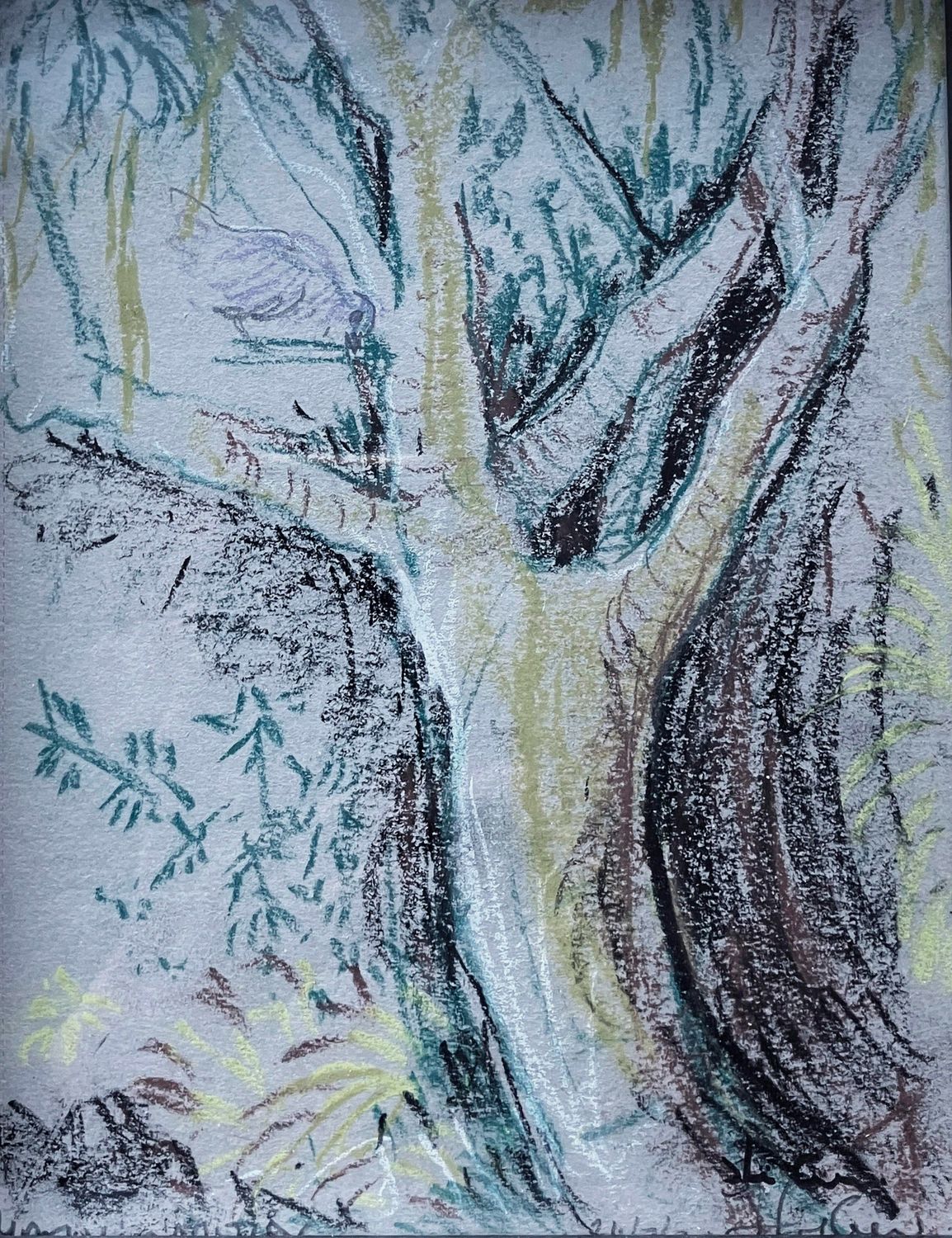 ORIGINAL- TREE HARTON CEMETERY -2022