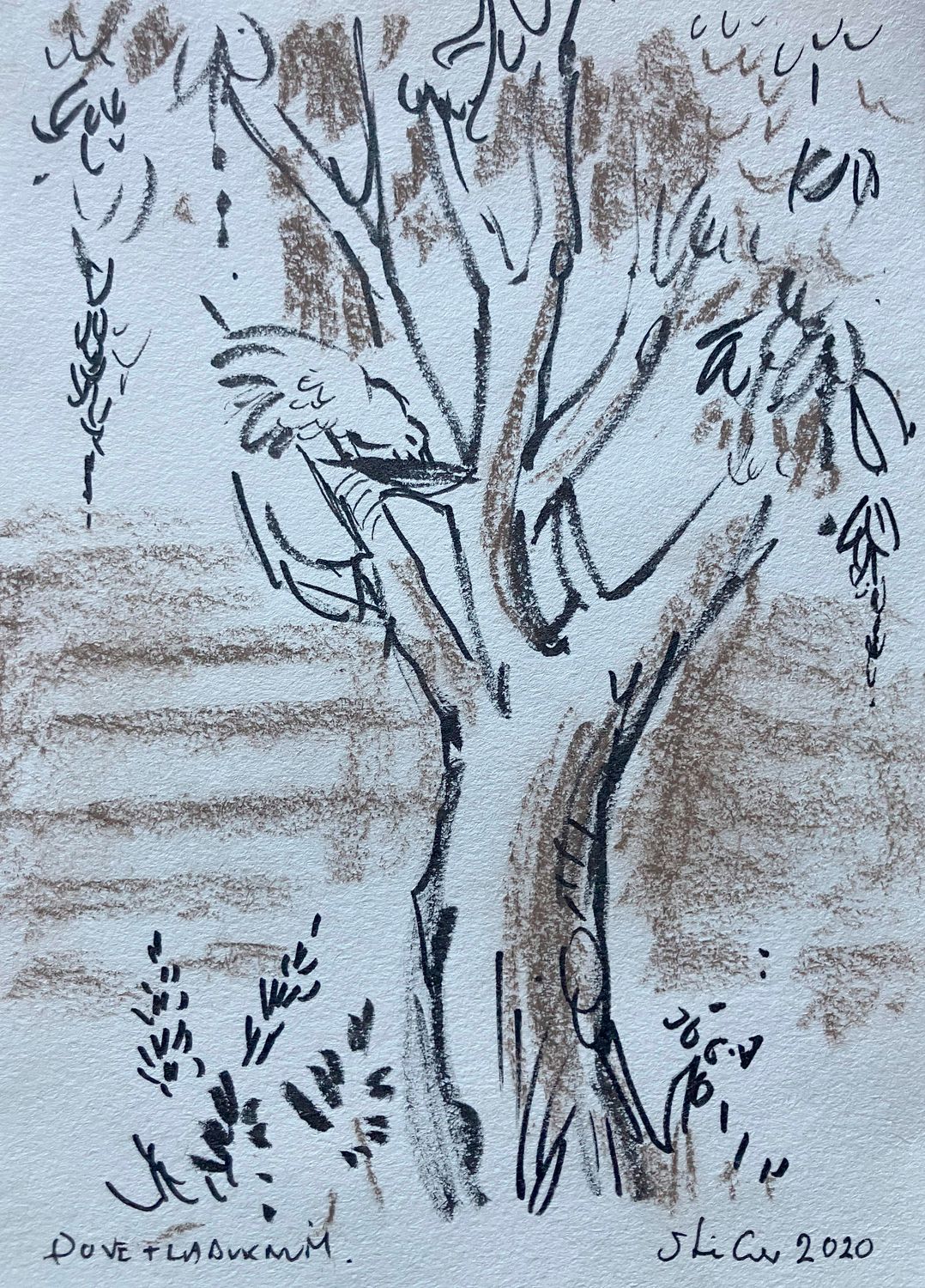ORIGINAL- DOVE in LABURNUM -2020