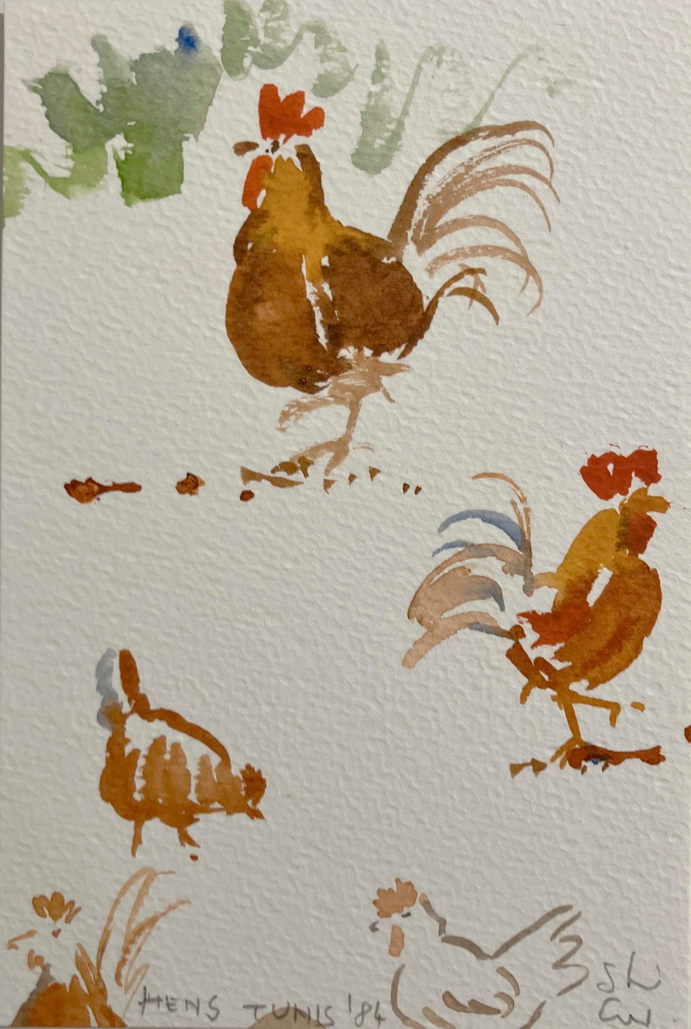 ORIGINAL - TUNISIAN HENS 1984