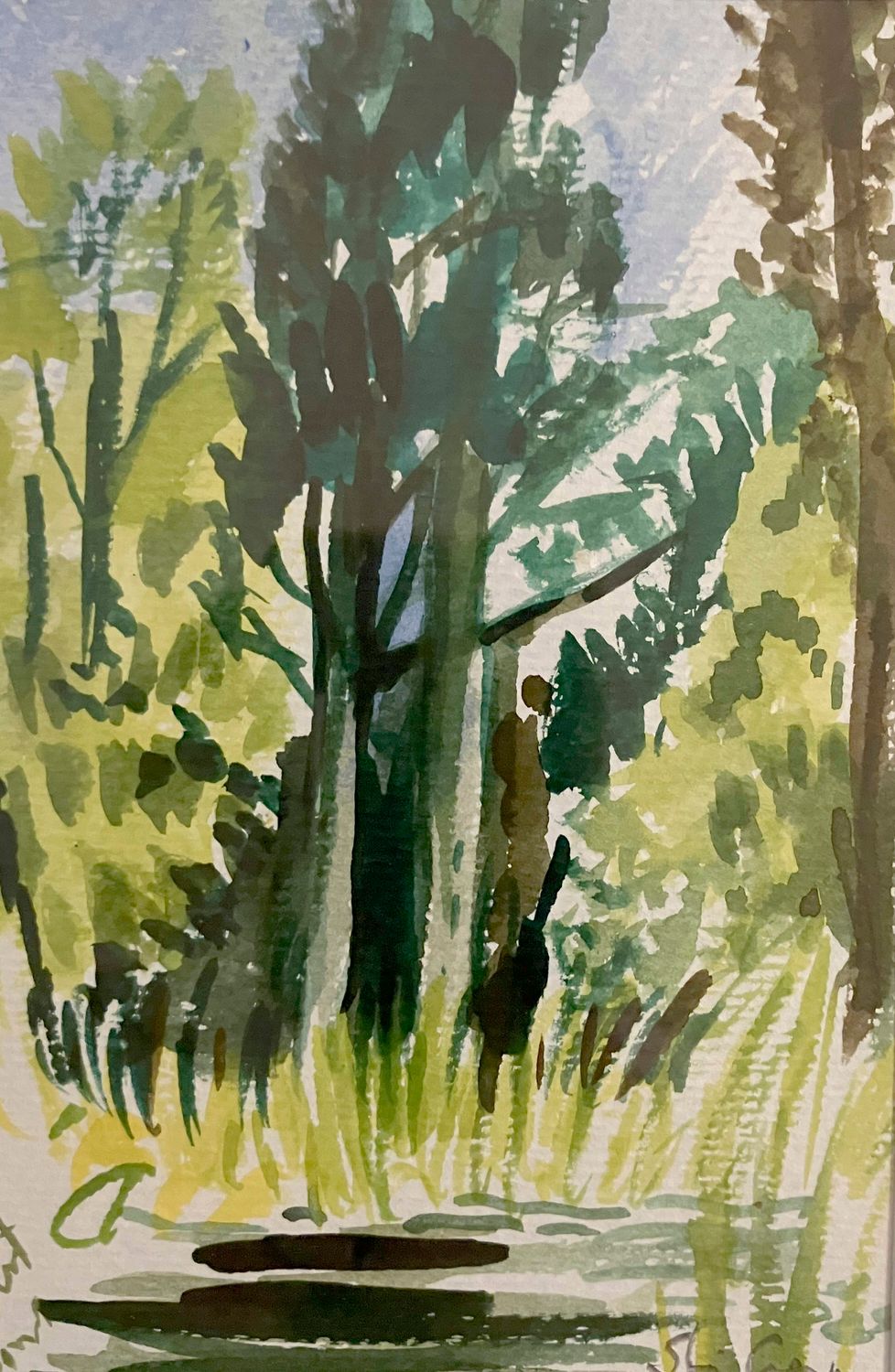 ORIGINAL - POWERSCOURT TREES -2006