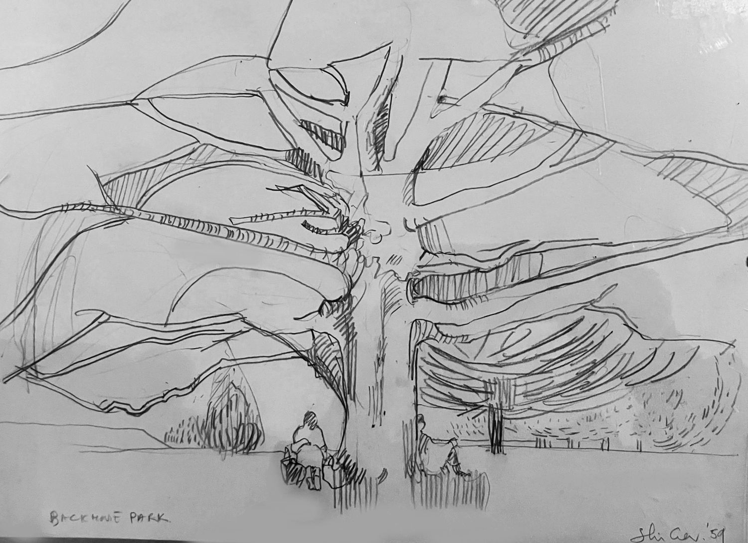 ORIGINAL- BACKHOUSE PARK TREE- 1959  N.F.S.