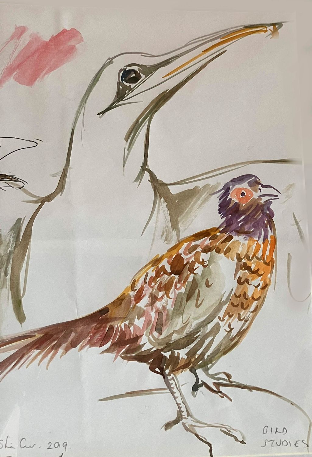 ORIGINAL -BIRD STUDIES 2019