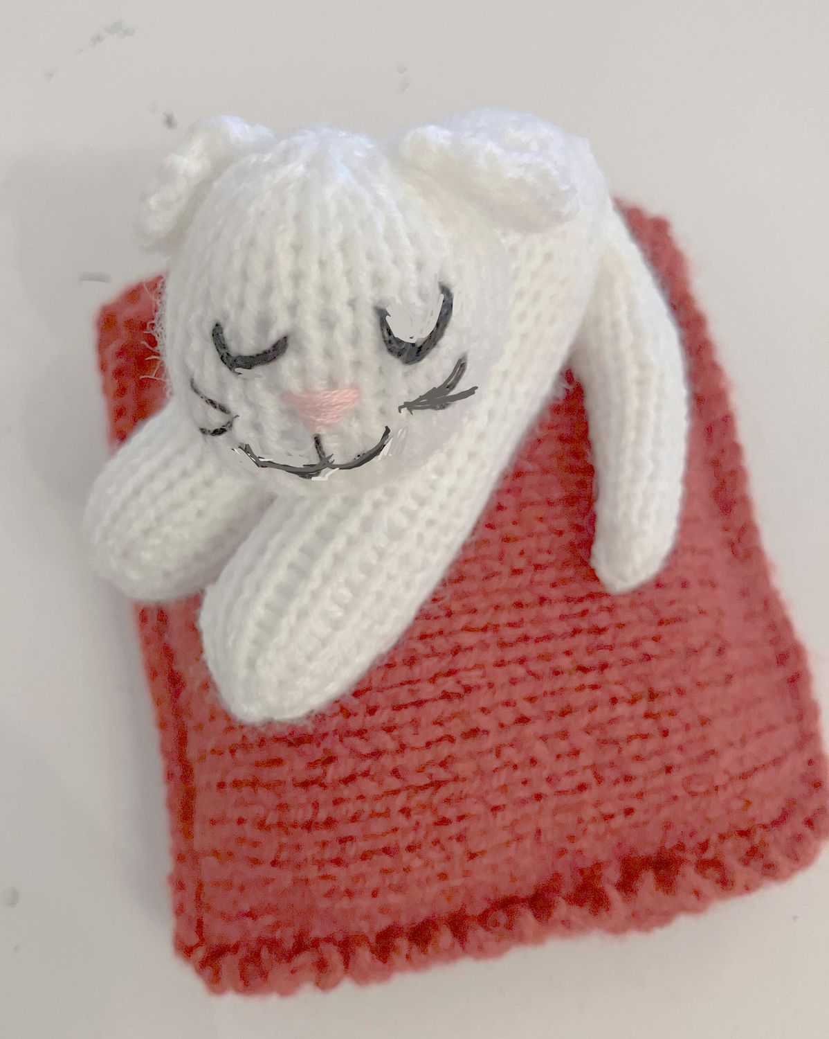Jen's KNITS White Cat on Red Cushion