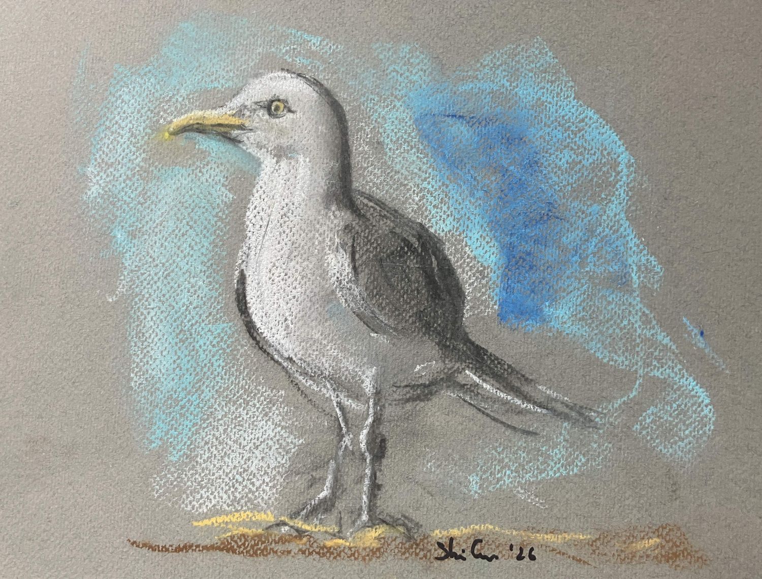JEN's KNITS - SAMMY SEAGULL KNIT &amp; PASTEL DRAWING - ONE ONLY