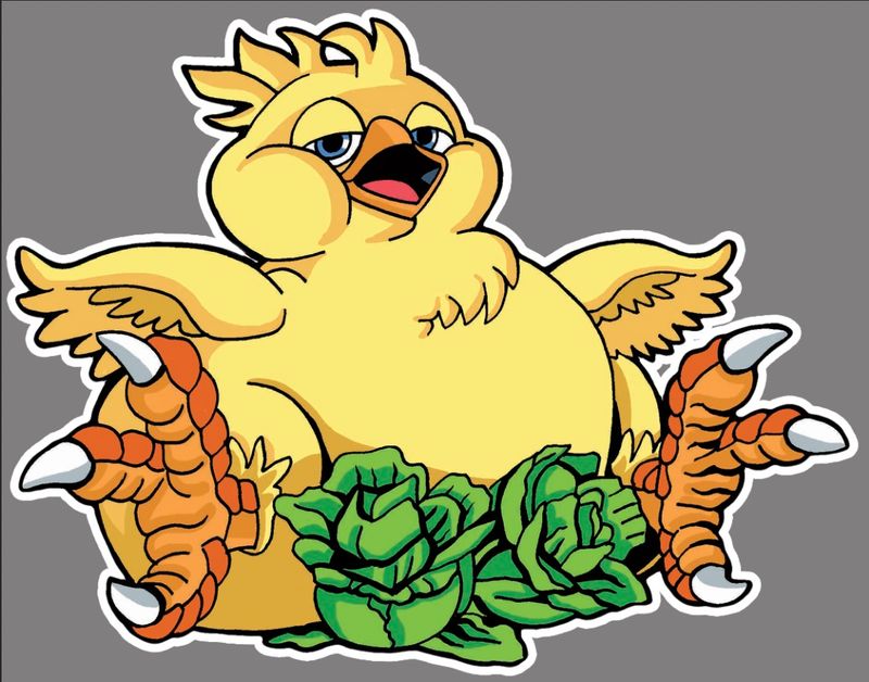 Fat Chocoo