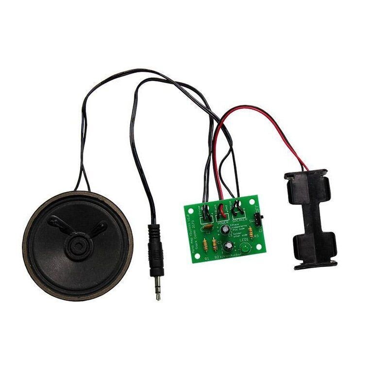 Mono Amplifier Kit with Power Switch -LED