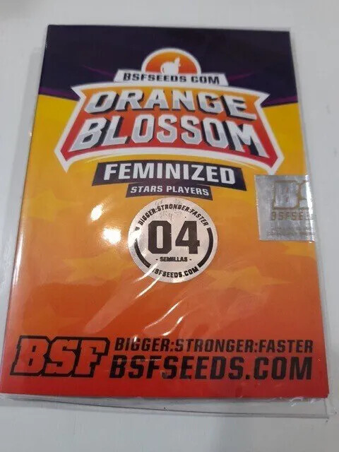  BSF Seeds - Orange Blossom (Feminized)