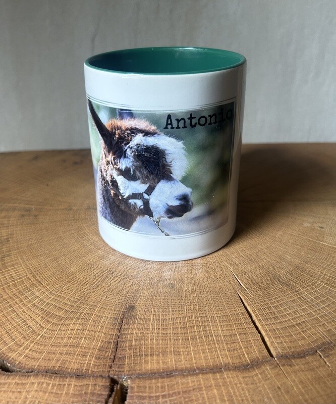Tasse „Antonio“ farbig