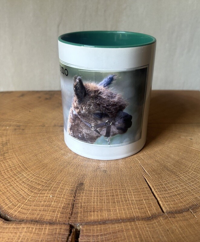 Tasse „Gismo“ farbig