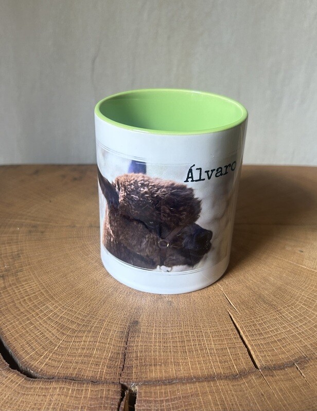 Tasse „Álvaro“ farbig