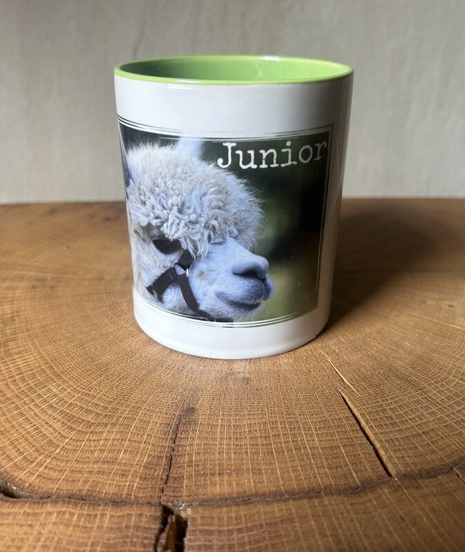 Tasse „Junior“ farbig
