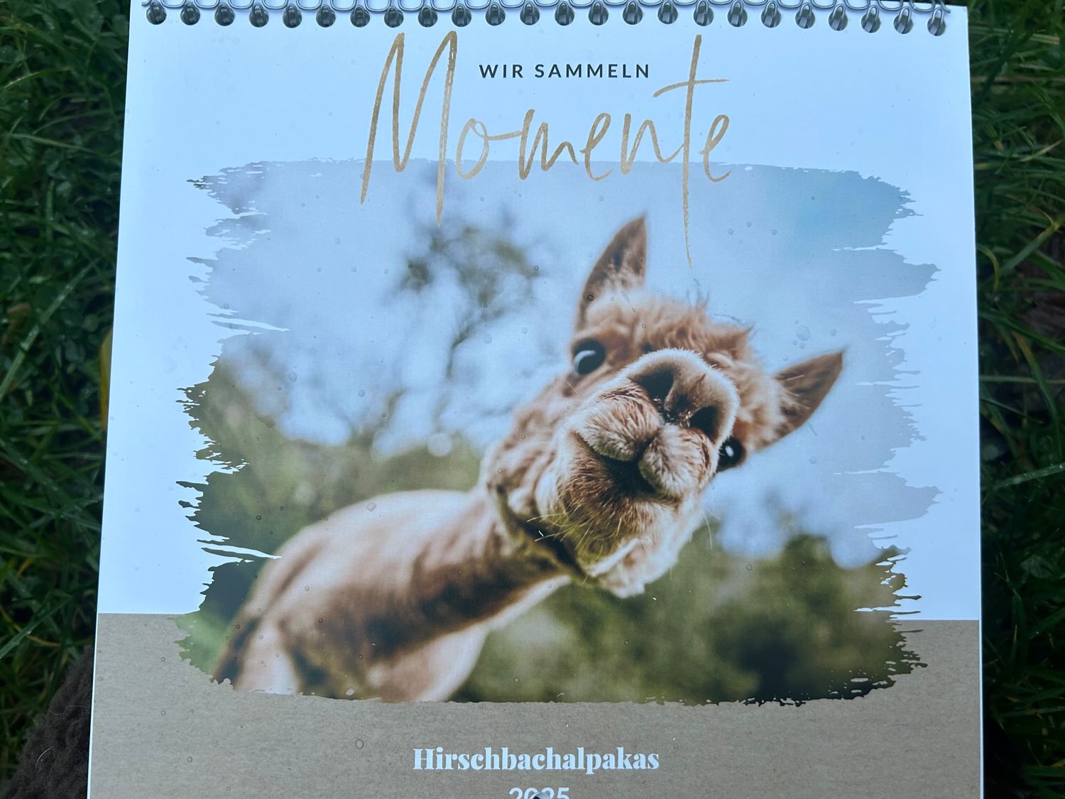 Wandkalender 2025