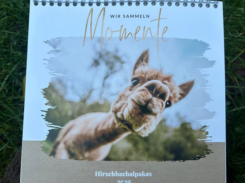 Wandkalender 2025