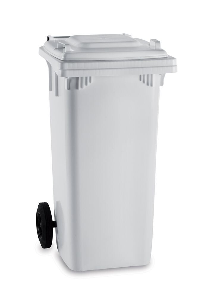 Contenitore " MAX" lt 120