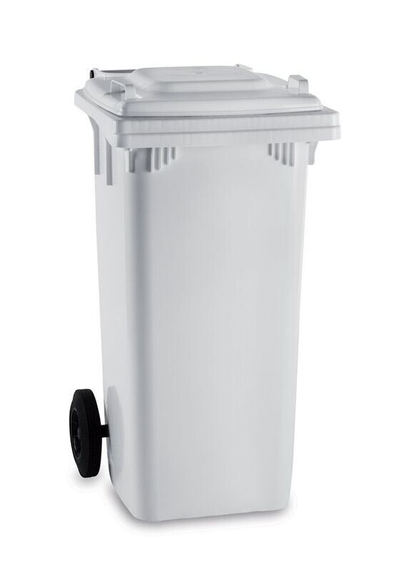Contenitore " MAX" lt 120